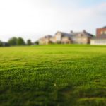lawn-768316_640