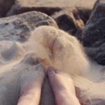 les-pieds-de-biche
