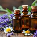 découvrez les huiles essentielles indispensables pour apaiser les tensions et favoriser la relaxation naturelle au quotidien.